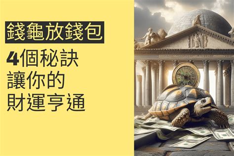 錢龜放哪裡|錢龜怎麼放？財運亨通的擺放學問